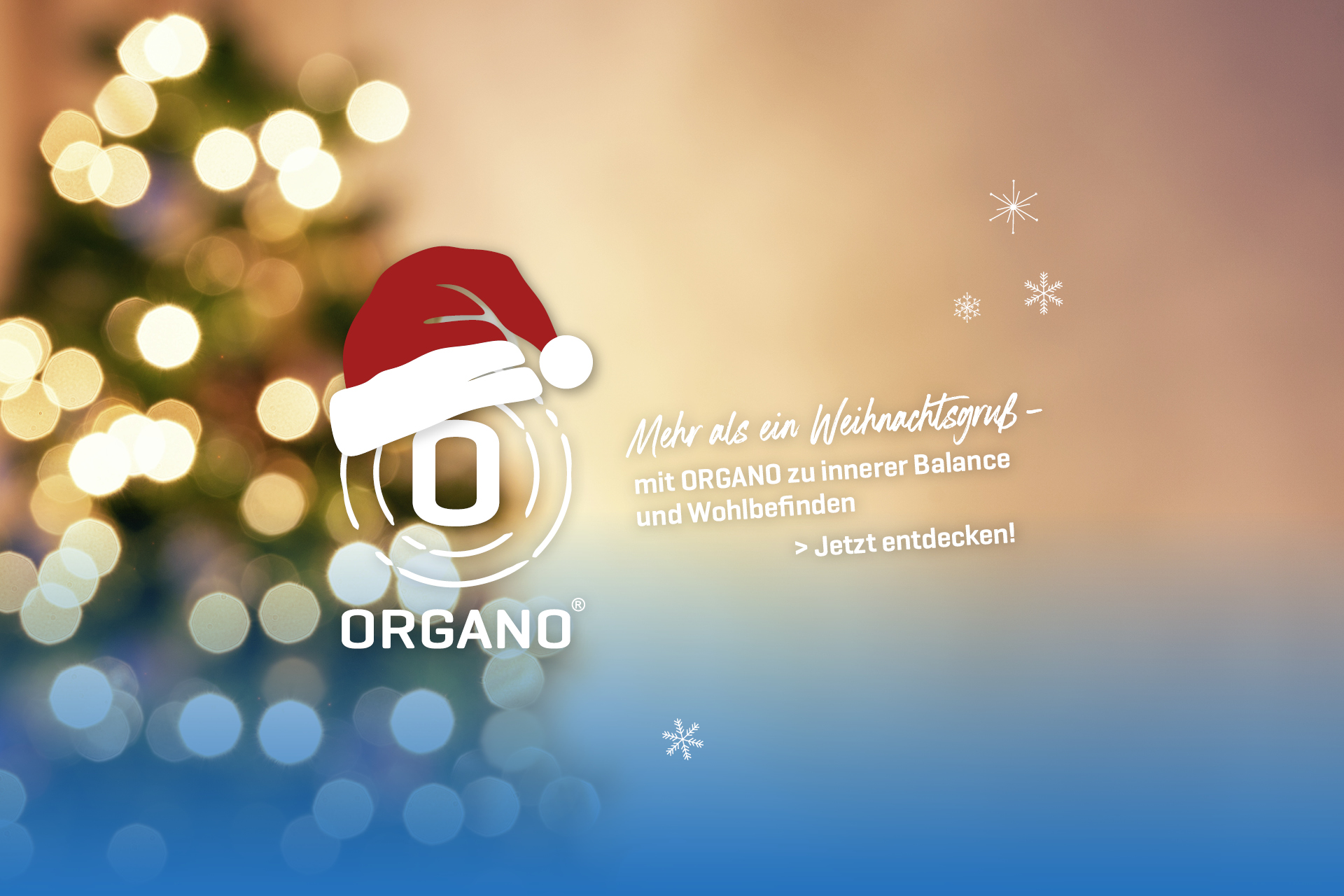 Weihnachtsaktion 2025