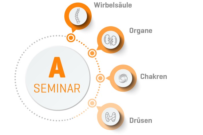 ORGANETIK Seminar A