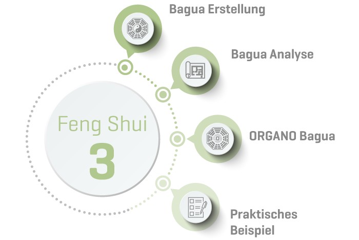 ORGANO Feng Shui 3