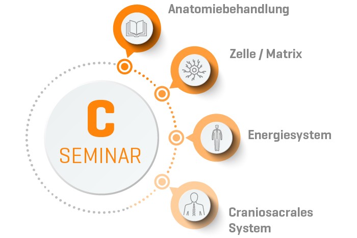 ORGANETIK Seminar C