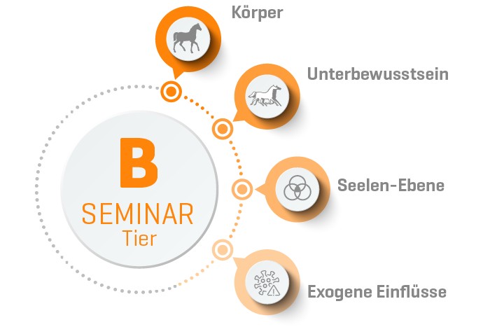 ORGANETIK Tier Seminar B