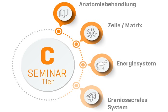 ORGANETIK Tier Seminar C